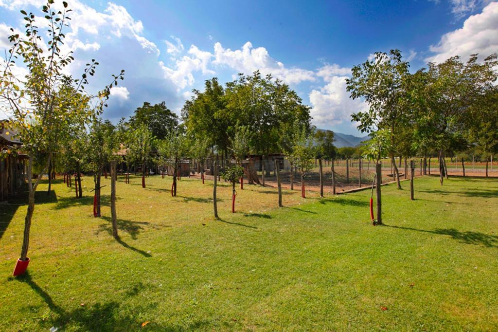 Azienda Agrituristica Pericle Montella Εξωτερικό φωτογραφία